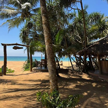 Отель Coconut Bar Бентота Экстерьер фото
