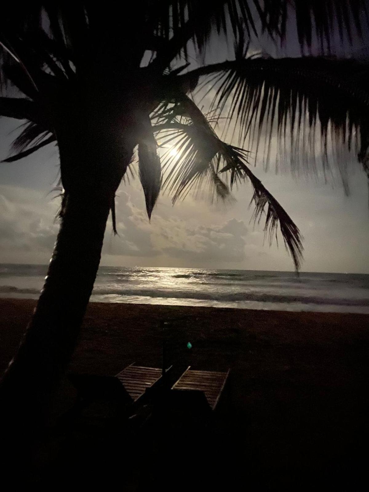 Отель Coconut Bar Бентота Экстерьер фото