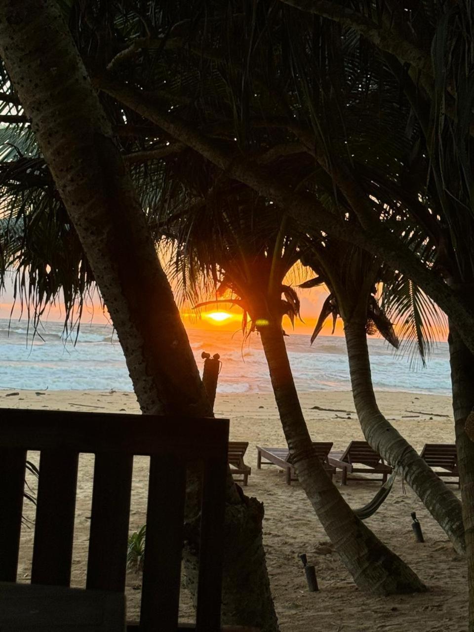 Отель Coconut Bar Бентота Экстерьер фото