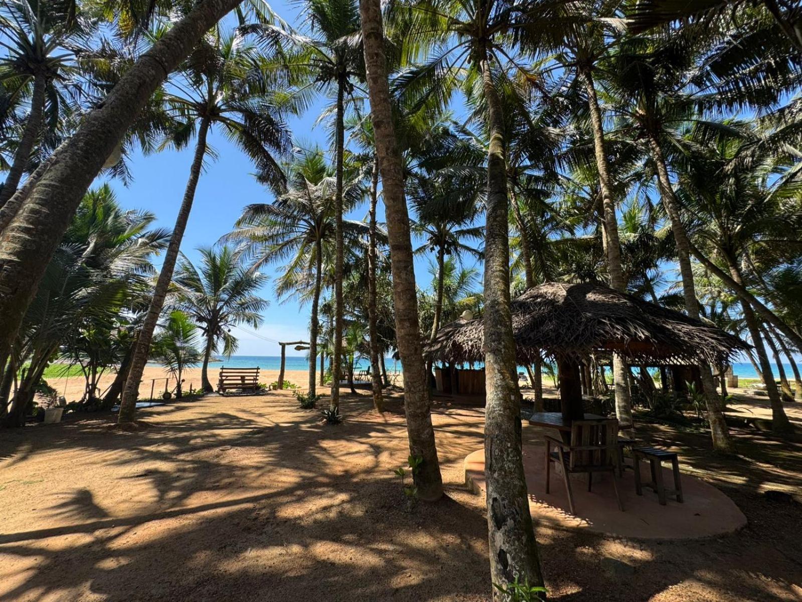 Отель Coconut Bar Бентота Экстерьер фото